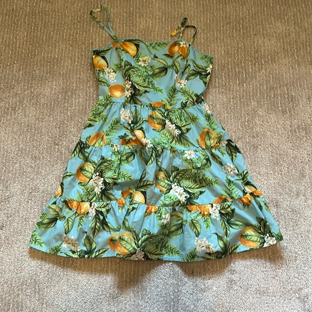 Blue and green BB Dakota dress